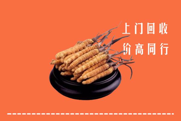 高价求购：新泰市回收散虫草